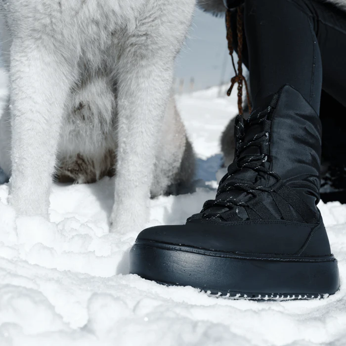 6_81a3dbc5-7b02-4222-a078-4b1ac91f394f_700x